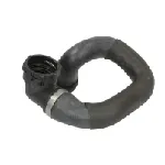 Crevo hladnjaka THERMOTEC DWG101TT IC-G0SATC