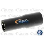 Crevo hladnjaka VAICO V10-2805 IC-E64ACE