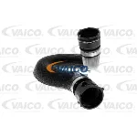 Crevo hladnjaka VAICO V10-4283 IC-E0CF64