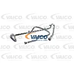 Crevo hladnjaka VAICO V20-1687 IC-DA2C66