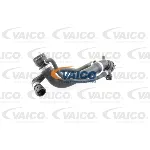 Crevo hladnjaka VAICO V20-1691 IC-DA2C6A