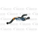 Crevo hladnjaka VAICO V20-1756 IC-DA2EEA