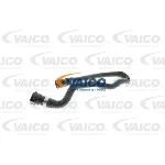 Crevo hladnjaka VAICO V20-2367 IC-DA2CA2