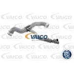 Crevo hladnjaka VAICO V30-2231 IC-DA2E39