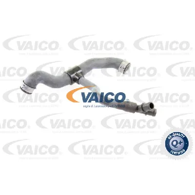 Crevo hladnjaka VAICO V30-2231 IC-DA2E39