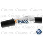 Crevo za ulje VAICO V25-0950 IC-DA5280