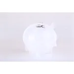 Ekspanzioni sud, rashladna tečnost NISSENS NIS 996120 IC-G0VJQ0