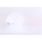 Ekspanzioni sud, rashladna tečnost NISSENS NIS 996148 IC-G0SEW0