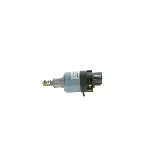 Elektromagnetni prekidač, starter BOSCH 2 339 402 121 IC-D2945F Elektromagnetni prekidač, starter BOSCH 2 339 402 121 IC-D2945F
