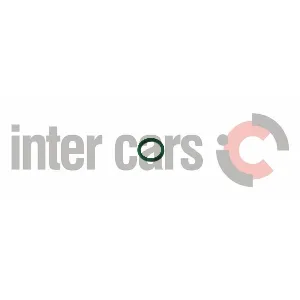 Element pumpe goriva BOSCH 1 280 210 800 IC-934443