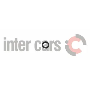 Element pumpe goriva BOSCH 1 460 225 081 IC-A623C1