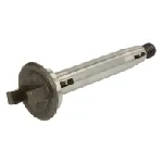 Element pumpe goriva BOSCH 1 466 100 310 IC-AEC29D