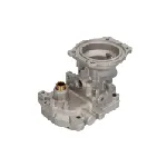 Element pumpe goriva BOSCH F 002 D13 134 IC-F4AE50