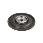 Element pumpe goriva DELPHI DEL7243-006 IC-D0B8F2