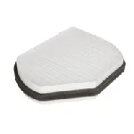 Filter, vazduh unutrašnjeg prostora BOSCH 1 987 432 001 IC-A7C454