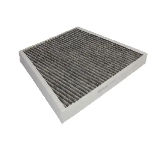Filter, vazduh unutrašnjeg prostora DENSO DCF252K IC-B7389E