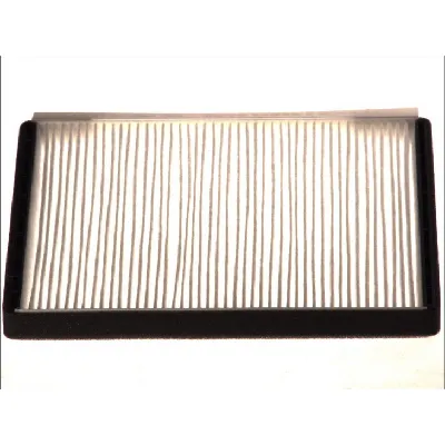 Filter, vazduh unutrašnjeg prostora DENSO DCF263P IC-B738A4