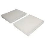 Filter, vazduh unutrašnjeg prostora DENSO DCF402P IC-BC244B