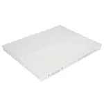 Filter, vazduh unutrašnjeg prostora FLEETGUARD AF56049 IC-G0O41I