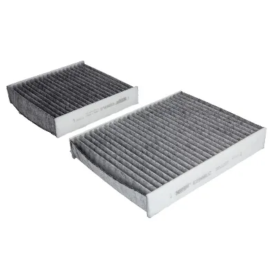 Filter, vazduh unutrašnjeg prostora HENGST E2967LC-2 IC-D93099