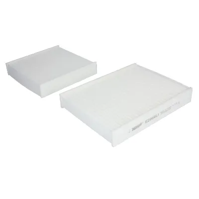 Filter, vazduh unutrašnjeg prostora HENGST E2967LI-2 IC-D9309A