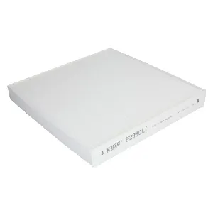 Filter, vazduh unutrašnjeg prostora HENGST E2990LI IC-D930B2