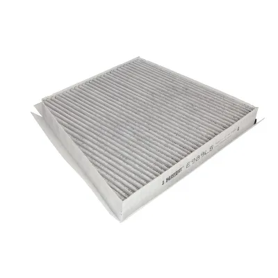 Filter, vazduh unutrašnjeg prostora HENGST E989LB IC-F868E0