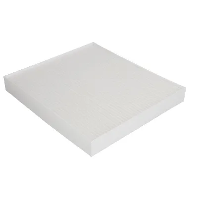 Filter, vazduh unutrašnjeg prostora KOREA B40519OEM IC-G0RLOQ