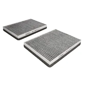 Filter, vazduh unutrašnjeg prostora PURRO PUR-PC3004C-2 IC-G0O66A