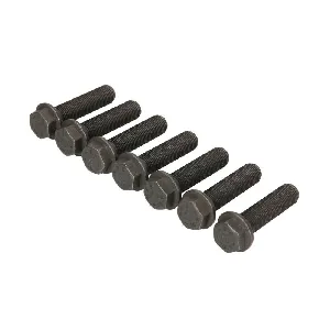 Garnitura vijaka, zamajac LUK 411 0170 11 IC-G07G3L Garnitura vijaka, zamajac LUK 411 0170 11 IC-G07G3L