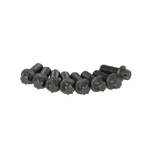 Garnitura vijaka, zamajac SACHS 1874 000 030 IC-D96BFD Garnitura vijaka, zamajac SACHS 1874 000 030 IC-D96BFD