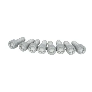 Garnitura vijaka, zamajac SACHS 1874 000 031 IC-DD2FF7 Garnitura vijaka, zamajac SACHS 1874 000 031 IC-DD2FF7