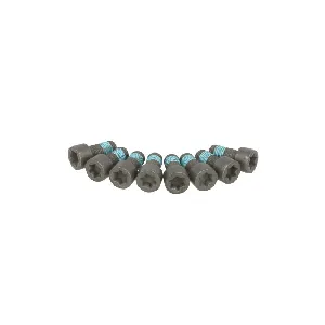 Garnitura vijaka, zamajac SACHS 1874 000 032 IC-DD2FF8 Garnitura vijaka, zamajac SACHS 1874 000 032 IC-DD2FF8
