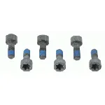 Garnitura vijaka, zamajac SACHS 1874 000 041 IC-DD2FFF Garnitura vijaka, zamajac SACHS 1874 000 041 IC-DD2FFF