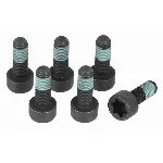 Garnitura vijaka, zamajac SACHS 1874 000 046 IC-DD3004 Garnitura vijaka, zamajac SACHS 1874 000 046 IC-DD3004