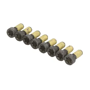 Garnitura vijaka, zamajac SACHS 1874 000 048 IC-D771CF Garnitura vijaka, zamajac SACHS 1874 000 048 IC-D771CF