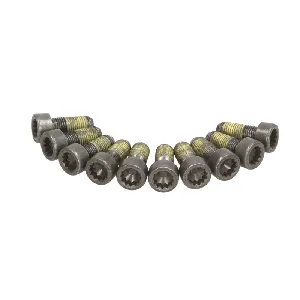 Garnitura vijaka, zamajac SACHS 1874 000 051 IC-DD3006 Garnitura vijaka, zamajac SACHS 1874 000 051 IC-DD3006