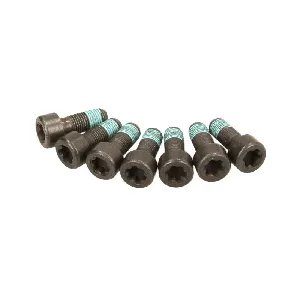 Garnitura vijaka, zamajac SACHS 1874 000 054 IC-D96BFE Garnitura vijaka, zamajac SACHS 1874 000 054 IC-D96BFE