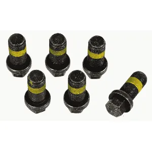 Garnitura vijaka, zamajac SACHS 1874 000 069 IC-E3EF77 Garnitura vijaka, zamajac SACHS 1874 000 069 IC-E3EF77