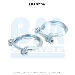 Garnitura za montažu, izduvni sistem BM CATALYSTS FK11013A IC-F52169