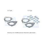 Garnitura za montažu, izduvni sistem BM CATALYSTS FK11032B IC-F5219B
