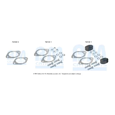 Garnitura za montažu, izduvni sistem BM CATALYSTS FK11091B IC-F5216D