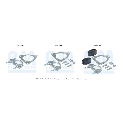 Garnitura za montažu, izduvni sistem BM CATALYSTS FK11175B IC-F52123