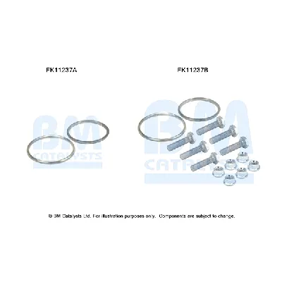 Garnitura za montažu, izduvni sistem BM CATALYSTS FK11237B IC-F52141