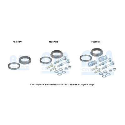 Garnitura za montažu, izduvni sistem BM CATALYSTS FK91747B IC-F521A1