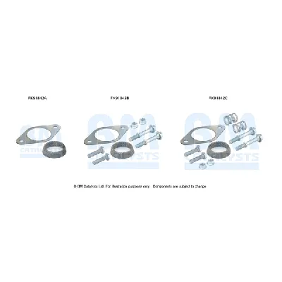 Garnitura za montažu, izduvni sistem BM CATALYSTS FK91842B IC-F52146