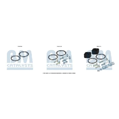 Garnitura za montažu, katalizator BM CATALYSTS FK80320B IC-G0SASZ