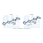 Garnitura za montažu, katalizator BM CATALYSTS FK91318B IC-G0SAT1