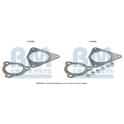 Garnitura za montažu, katalizator BM CATALYSTS FK91630B IC-G0SAT6