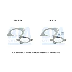 Garnitura za montažu, katalizator BM CATALYSTS FK91974B IC-G0SATA